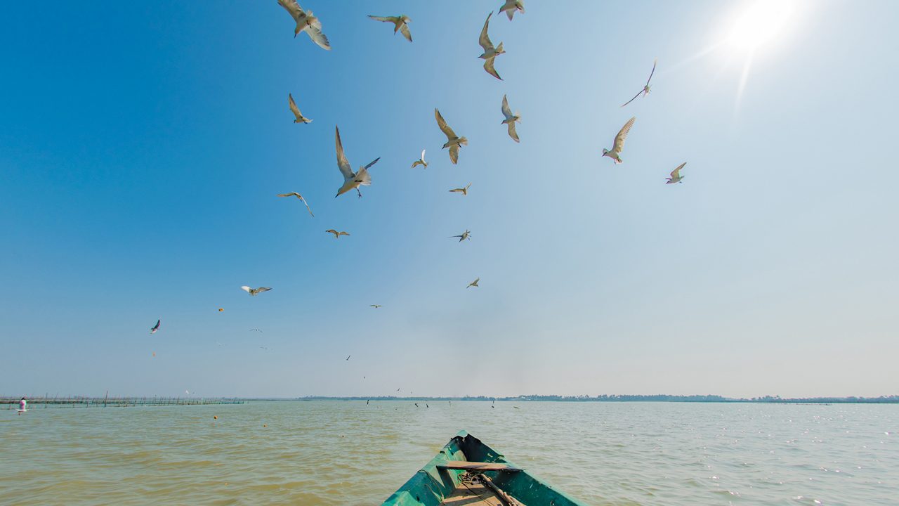Student Group Tour Odisha